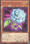 Product image for Brilliant Rose