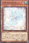 Product image for Rikka Princess