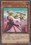 Product image for Rose Lover