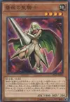 Product image for Rose Paladin
