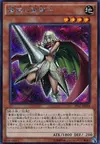Product image for Rose Paladin
