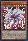 Product image for Nine-Tailed Fox