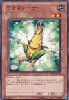 Product image for Sweet Corn