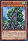 Product image for Sylvan Sagequoia