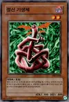 Product image for Kiseitai
