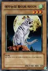 Product image for The All-Seeing White Tiger
