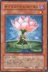 Product image for Samsara Lotus