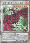 Product image for Dragon Rose Noire