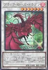 Product image for Black Rose Dragon