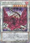 Product image for Dragon Rose Noire