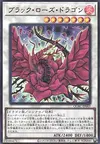 Product image for Dragon Rose Noire