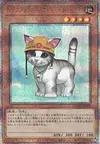 Product image for Rescue Cat