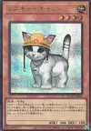 Product image for Rescue Cat