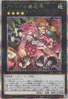 Product image for Traptrix Rafflesia