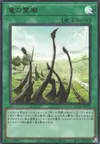 Product image for Dragon Shrine