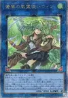 Product image for Wynn the Wind Charmer, Verdant