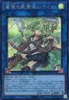 Product image for Wynn the Wind Charmer, Verdant
