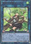 Product image for Wynn the Wind Charmer, Verdant