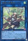 Product image for Wynn the Wind Charmer, Verdant