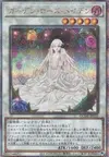 Product image for Garden Rose Maiden