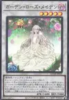 Product image for Garden Rose Maiden