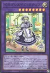 Product image for Lady's Dragonmaid