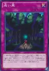 Product image for Lost Wind
