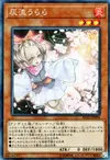 Product image for Ash Blossom & Joyous Spring