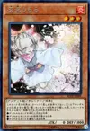 Product image for Ash Blossom & Joyous Spring
