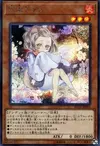 Product image for Ash Blossom & Joyous Spring