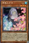 Product image for Ghost Sister & Spooky Dogwood