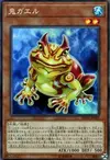 Product image for Swap Frog