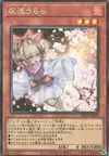 Product image for Ash Blossom & Joyous Spring