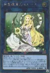 Product image for Selene, Reine des Maîtres Magiciens
