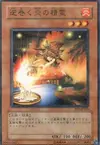 Product image for Raging Flame Sprite