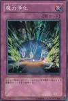 Product image for Spell Purification