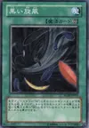 Product image for Black Whirlwind