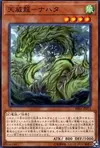 Product image for Tenyi Spirit - Nahata