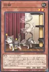 Product image for Flipping Feline