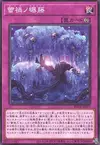 Product image for Ragnaraika Wisteria of Woe
