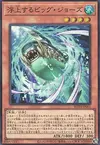 Product image for Surfacing Big Jaws