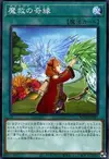 Product image for Adamancipator Friends