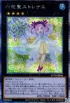 Product image for Rikka Queen Strenna