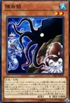 Product image for Squirt Squid