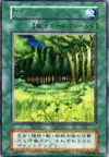 Product image for Forest
