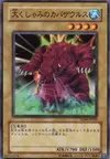 Product image for Kabazauls