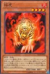 Product image for Flame Tiger