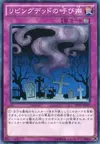 Product image for Call of the Haunted