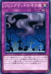 Product image for Call of the Haunted