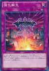 Product image for Powerful Rebirth
